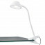 LED Klemlamp - Trion Berky - 3.5W - Warm Wit 3000K - Wit - Kunststof 1