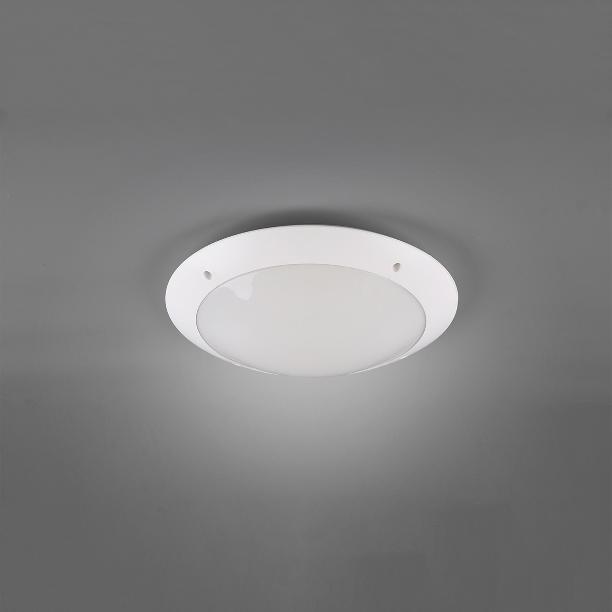 LED Deckenleuchte - Trion Camiro - Aufbau Rund - Wasserdicht IP54 - E27 Sockel - 2-flammig - Mattweiß - Kunststoff