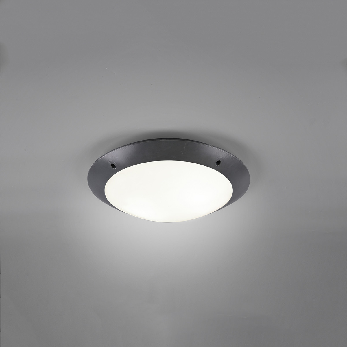 LED Deckenleuchte - Trion Camiro - Aufbau Rund - Wasserdicht IP54 - E27 Sockel - 2-flammig - Mattschwarz - Kunststoff