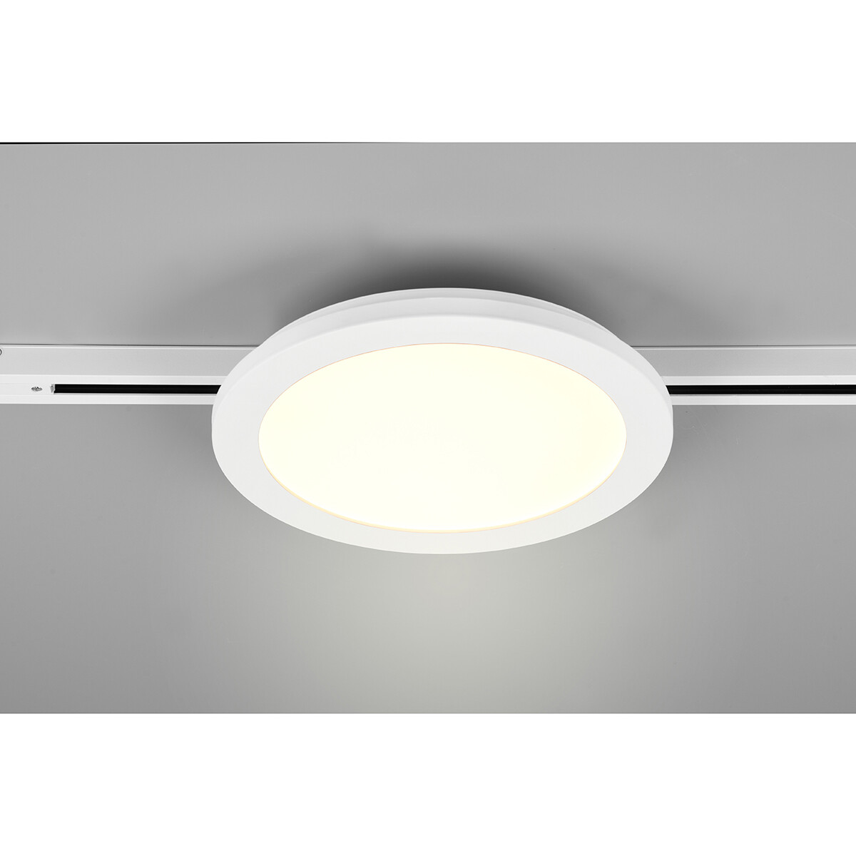 LED Schienenbeleuchtung - Deckenleuchte - Trion Dual Camy - 2-Phasen - 13W - Warmweiß 3000K - Dimmbar - Rund - Mattweiß - Kunststoff