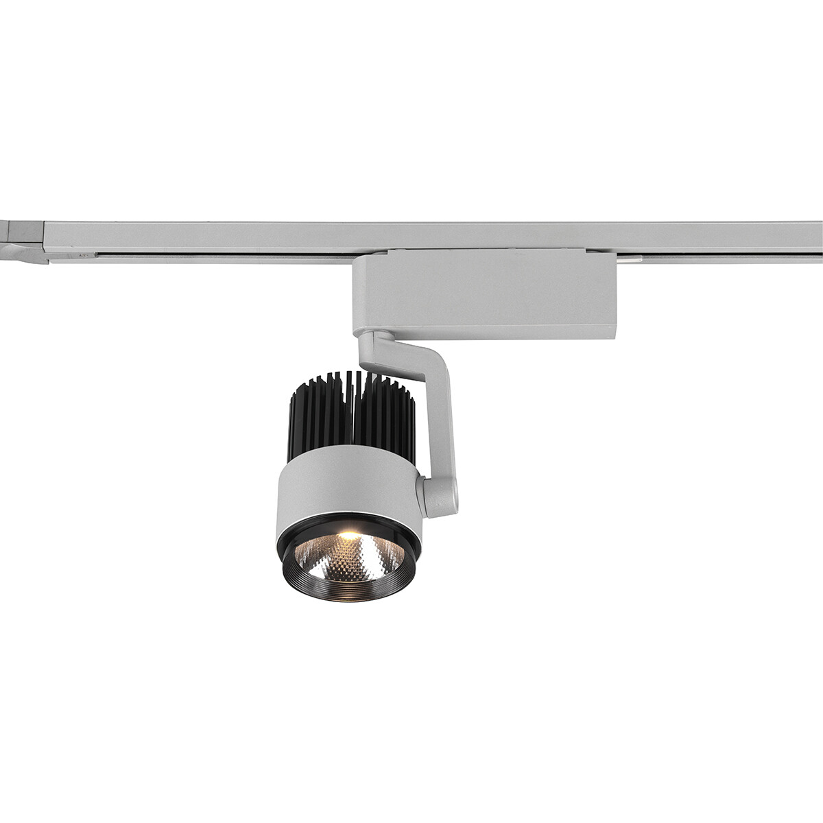 LED Schienenbeleuchtung - Track Spot - Trion Dual Radina - 2 Phasen - 15W - Anpassbare Lichtfarbe - Dimmbar - Rund - Matt Titan - Aluminium