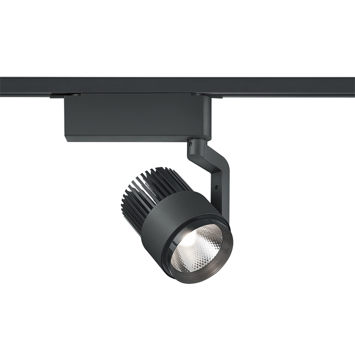 LED Schienenbeleuchtung - Track Spot - Trion Dual Radina - 2 Phasen - 15W - Anpassbare Lichtfarbe - Dimmbar - Rund - Matt Schwarz - Aluminium